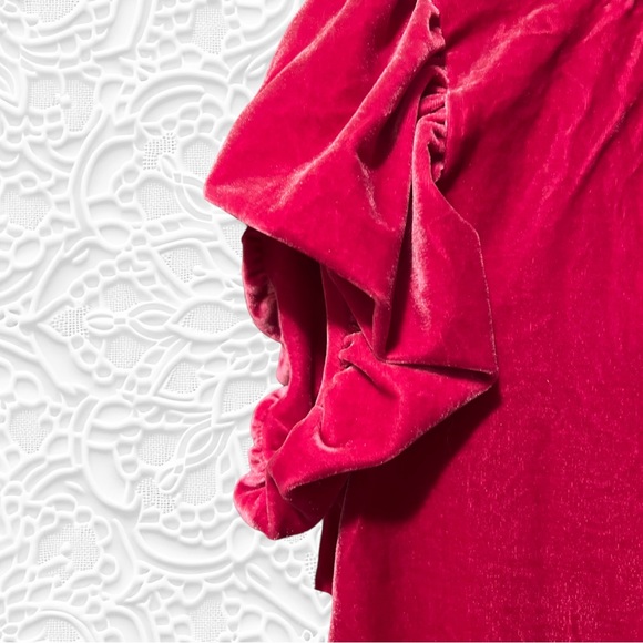 NWT Free People Beautiful VELVETY Feel Blouse  95%POLY/5% Elasticine Washable - Picture 6 of 12